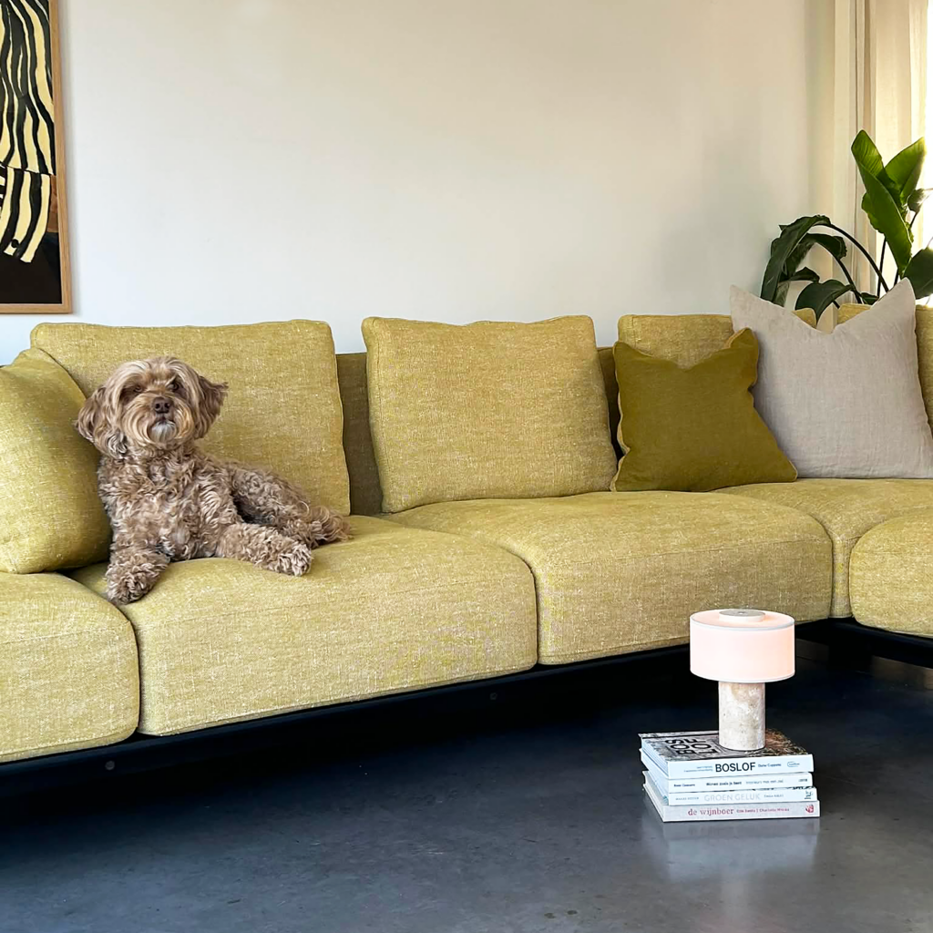 Ontspannen hond op een zachte hoekzetel in een gezellig interieur